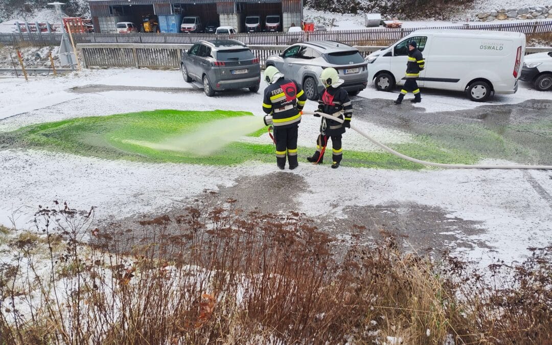 22.11.2025 Branddienstleistungsprüfung